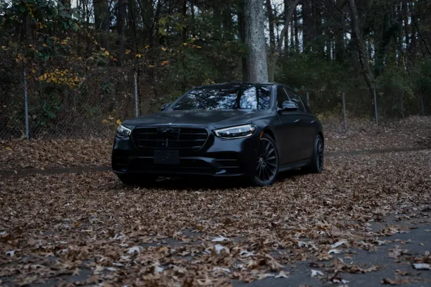 Dendy Casino Aplicación Android/iOS